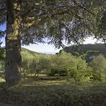 Hotel Serena